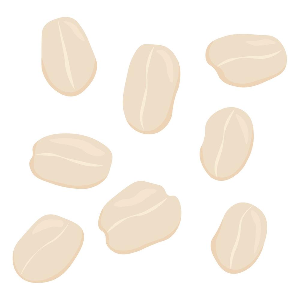 harina de avena copos vector ilustración. grano primeros planos. Granov. avena, harina de avena papilla. Inglés desayuno. aislado en un blanco antecedentes.