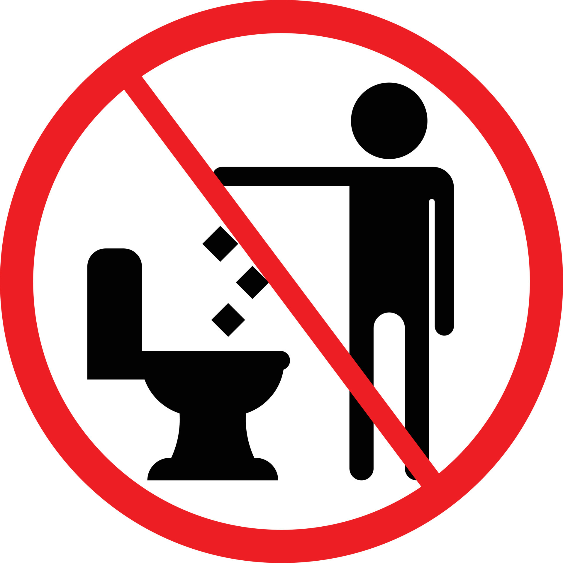 Do not Throw Trash, Rubbish, Plastic or Paper Towels in the Toilet Sign