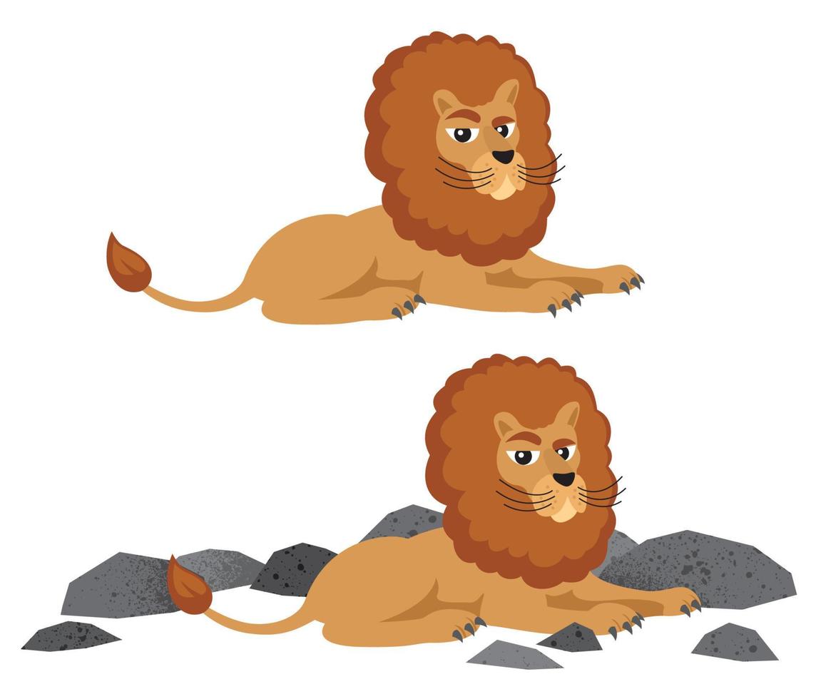 Lion on White vector