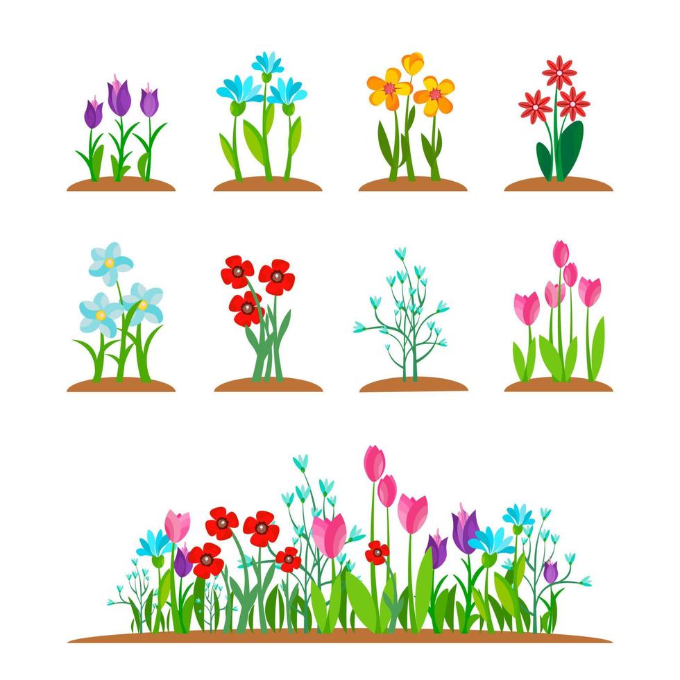 Early spring garden blossom flowers, grass isolated on white. Spring nature plant set. Simple garden flower bouquet in summer time. Vector illustration