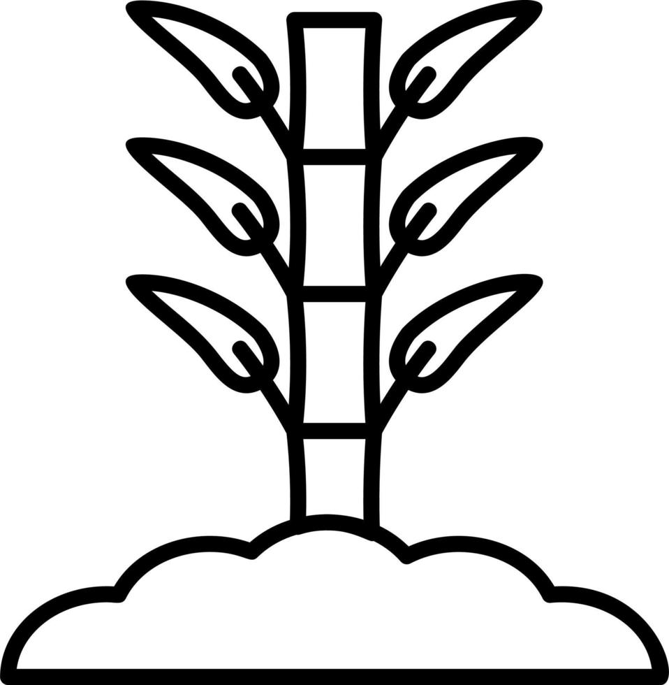 Bamboo Vector Icon
