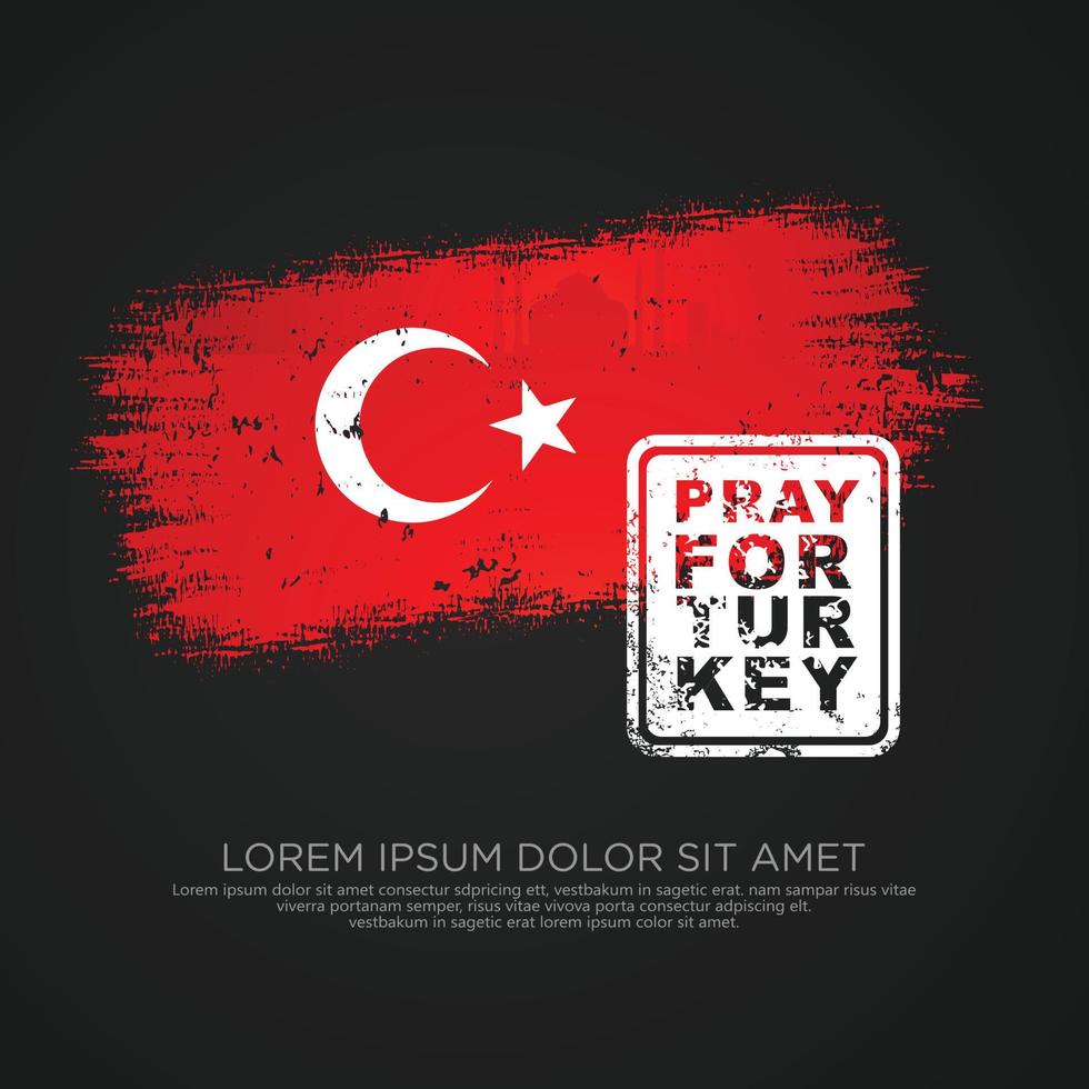 Grunge style turkish flag and map for greeting card vector
