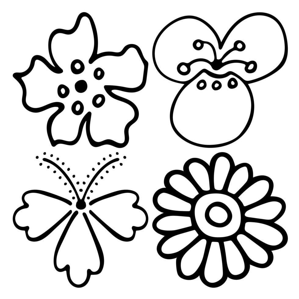 Sketch doodle outline flowers. Hand drawn drawing of plant buds during flowering. Petal silhouettes. Isolated vector. vector