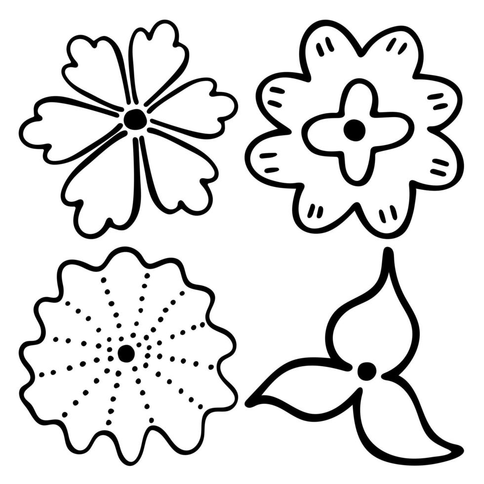 Sketch doodle outline flowers. Hand drawn drawing of plant buds during flowering. Petal silhouettes. Isolated vector. vector