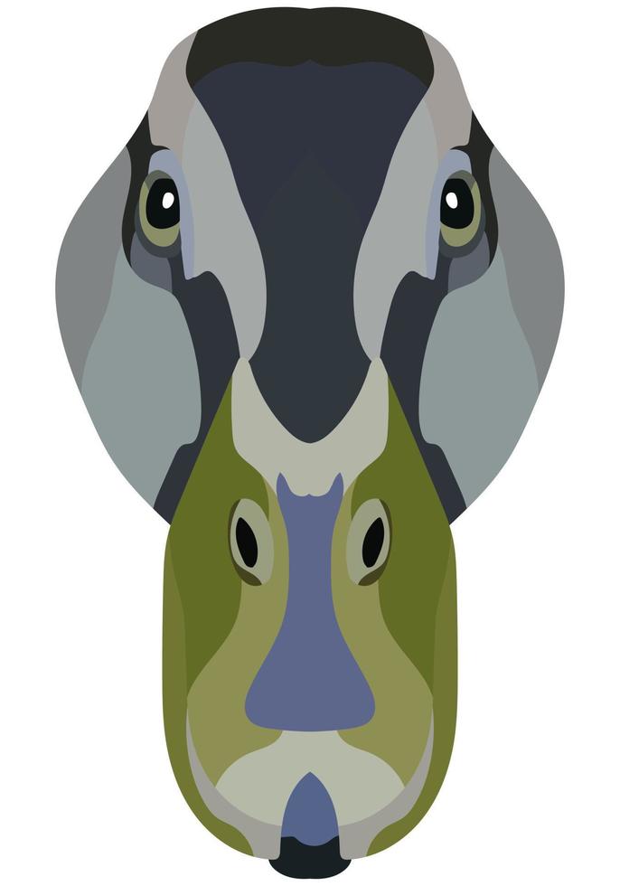 Duck face. An illustration of the muzzle of a platypus bird is depicted. Bright portrait on a white background. Vector graphics. animal logo