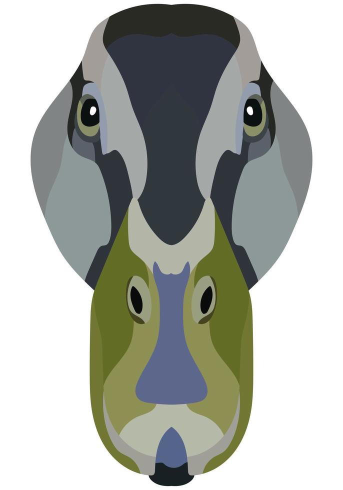 Duck face. An illustration of the muzzle of a platypus bird is depicted. Bright portrait on a white background. Vector graphics. animal logo