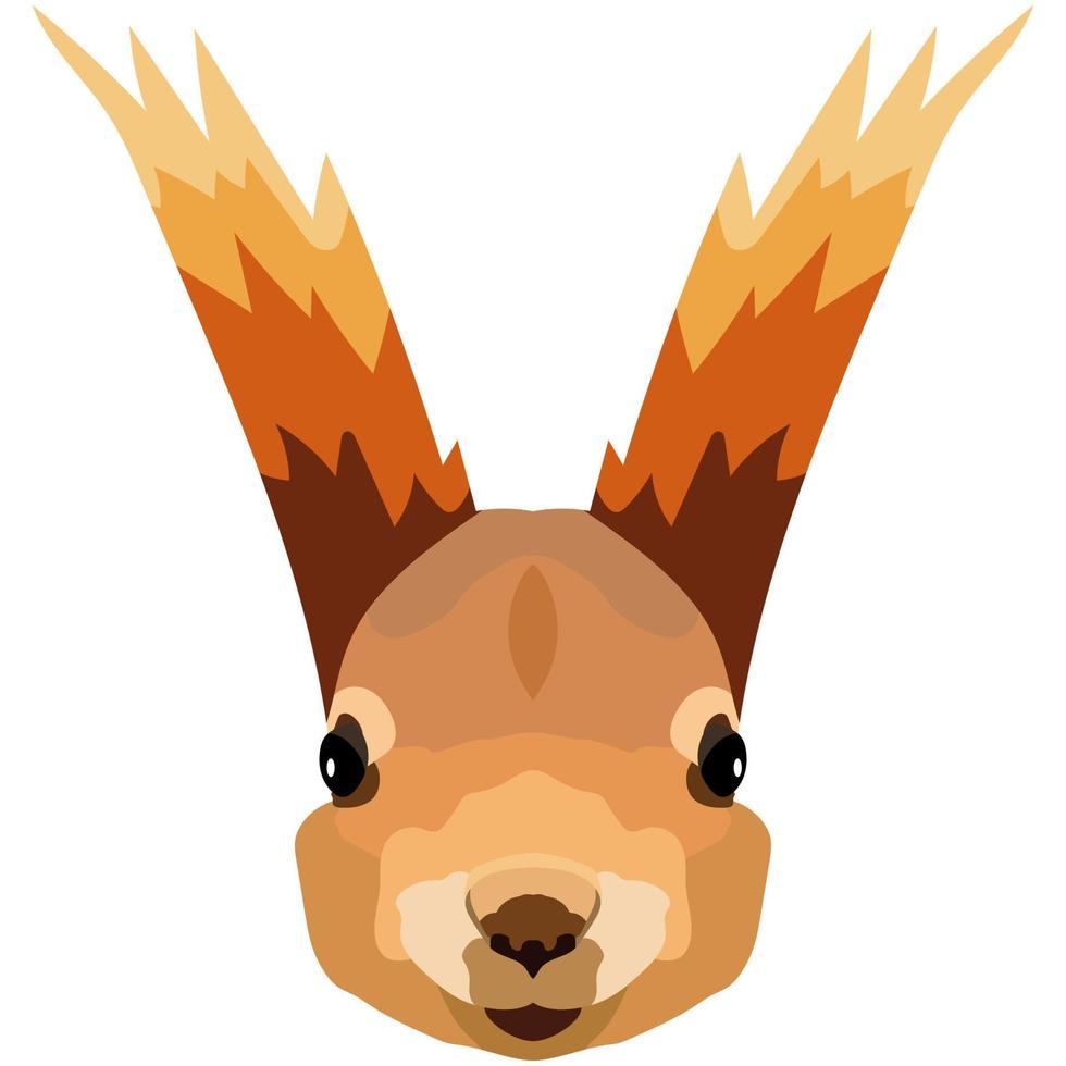 Squirrel face. An illustration of the muzzle of an orange rodent is depicted. Bright portrait on a white background. Vector graphics. animal logo