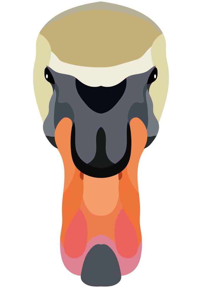 Swan face. An illustration of the muzzle of a platypus bird is depicted. Bright portrait on a white background. Vector graphics. feathered logo