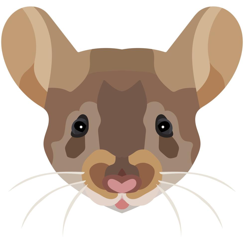 Mouse face. An illustration of the muzzle of a beautiful rat is depicted. Bright portrait on a white background. Vector graphics. animal logo