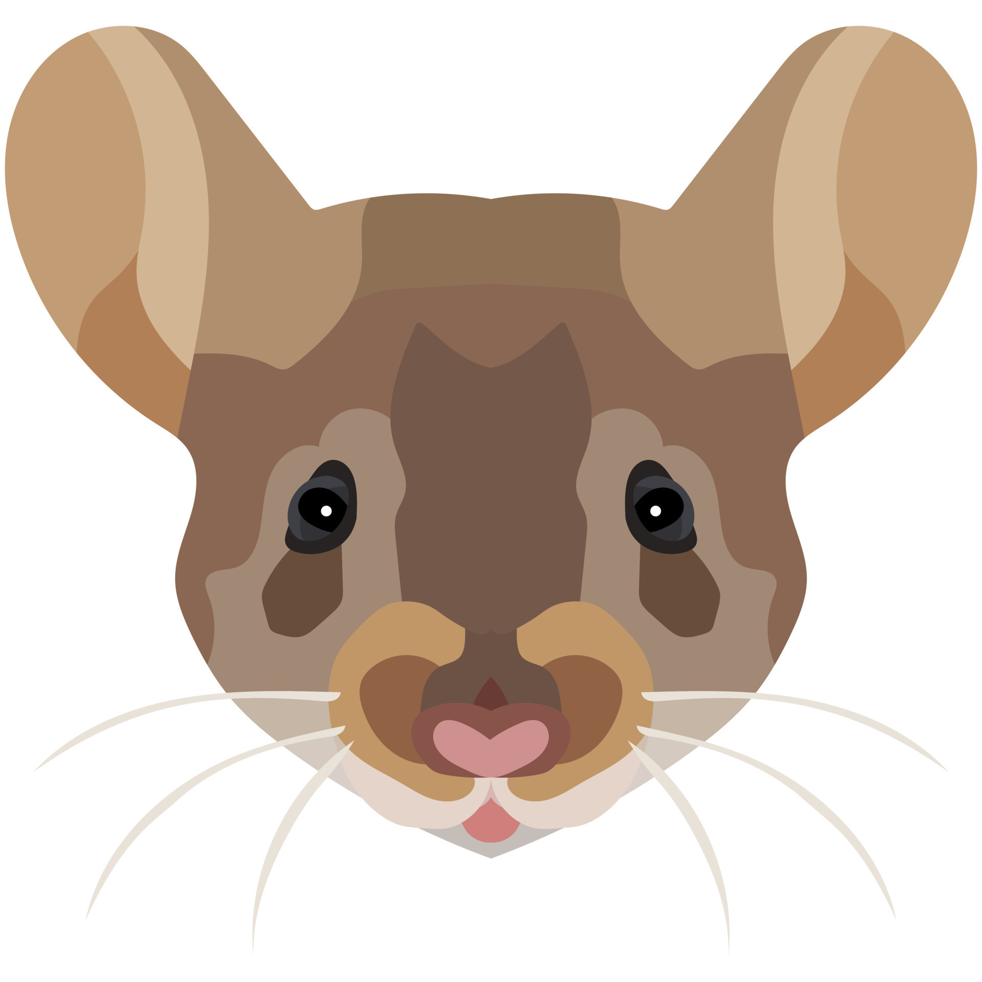 Mouse muzzle top
