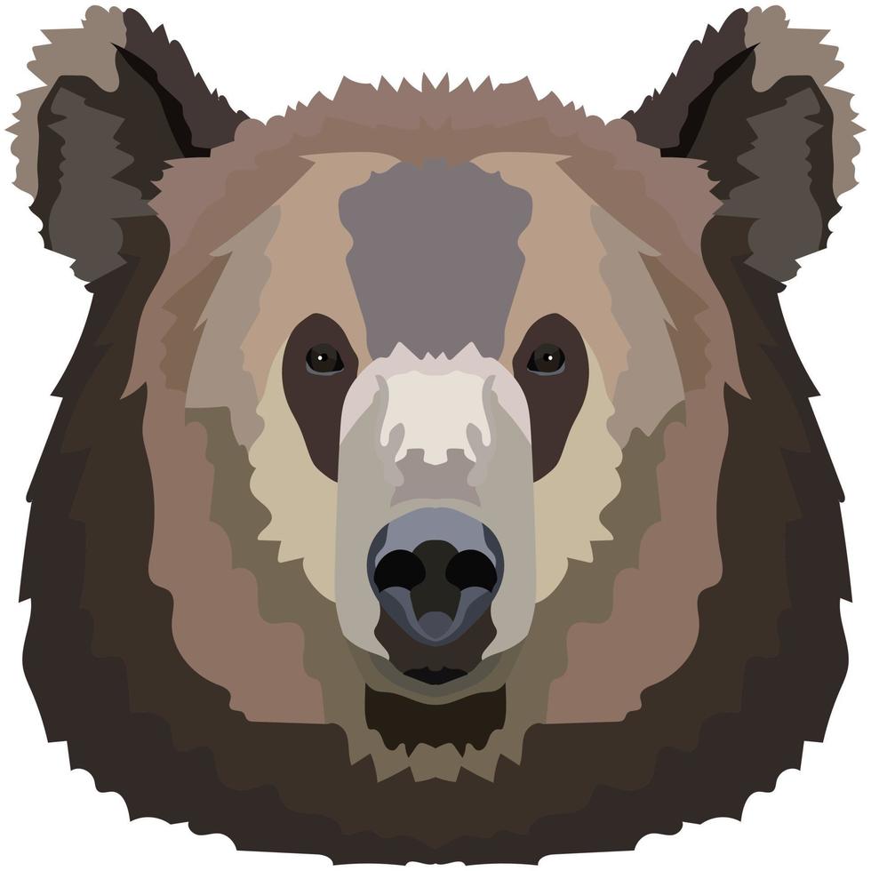 Bear face. An illustration of the muzzle of a large grizzly bear is depicted. Bright portrait on a white background. Vector graphics. animal logo.