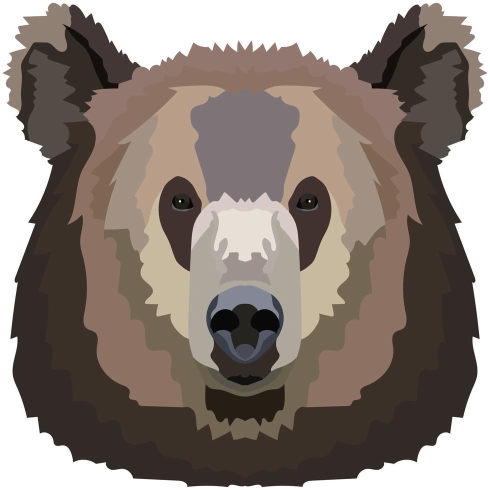 Bear face. An illustration of the muzzle of a large grizzly bear is depicted. Bright portrait on a white background. Vector graphics. animal logo.