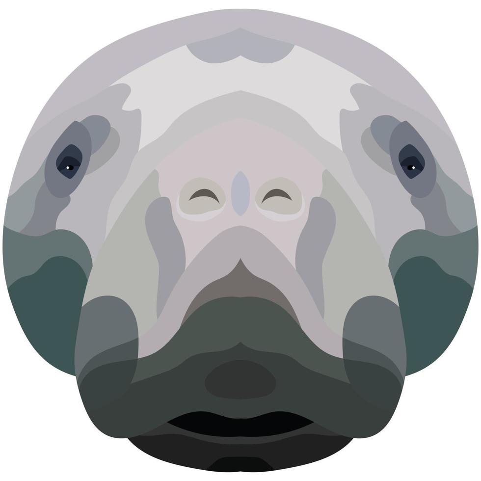 The face of a manatee. An illustration of the muzzle of a manatee is depicted. Bright portrait on a white background. Vector graphics. animal logo.