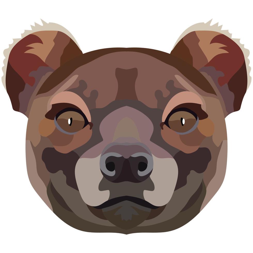 Foss face. An illustration of the Cryptoprocta muzzle is depicted. Bright portrait on a white background. Vector graphics. animal logo.