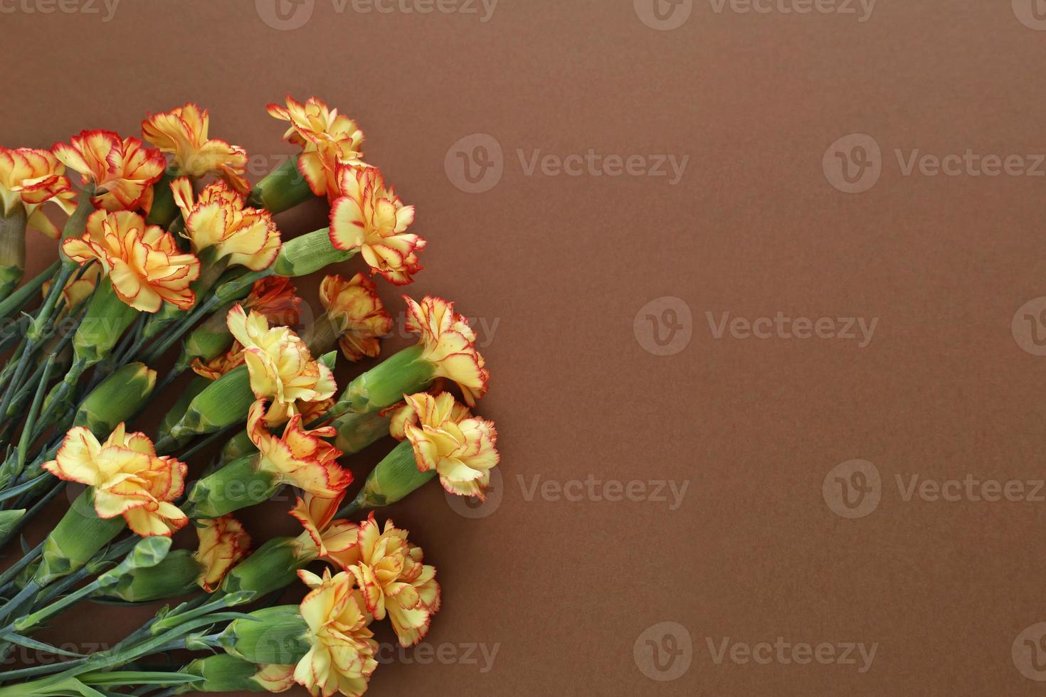 Bouquet of red-yellow carnations in bottom left corner on brown paper background. Memory symbol. Victory Day. Veterans Day. Greeting card with place for text. photo