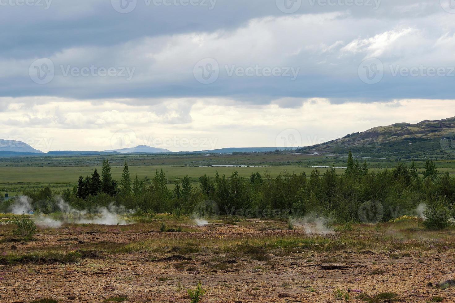 Iceland Haukadalsskogur Forest Landscape photo