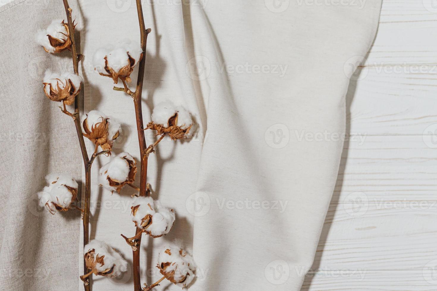 Cotton branch with dry flowers, close up photo