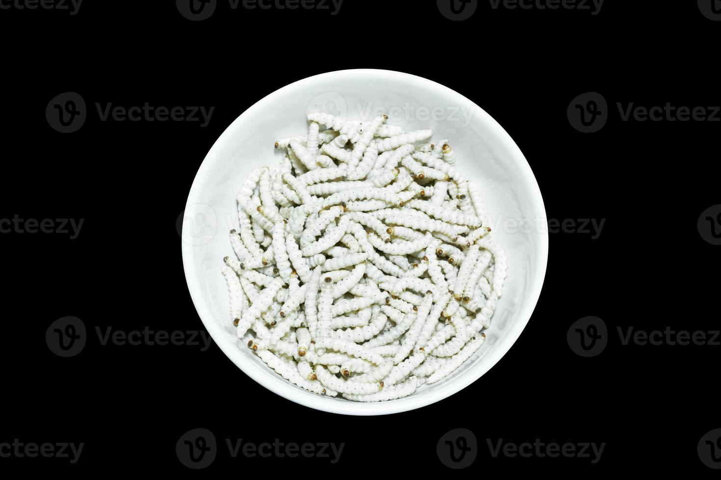 Many white bamboo worms on dish white isolated on dark background,Bamboo Caterpillar is food in thailand photo