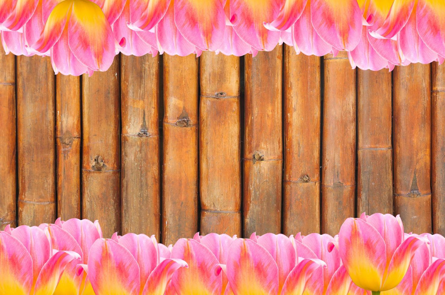 Pink Tulips, frame  Fresh spring tulips flowers with space for text  on bamboo background photo
