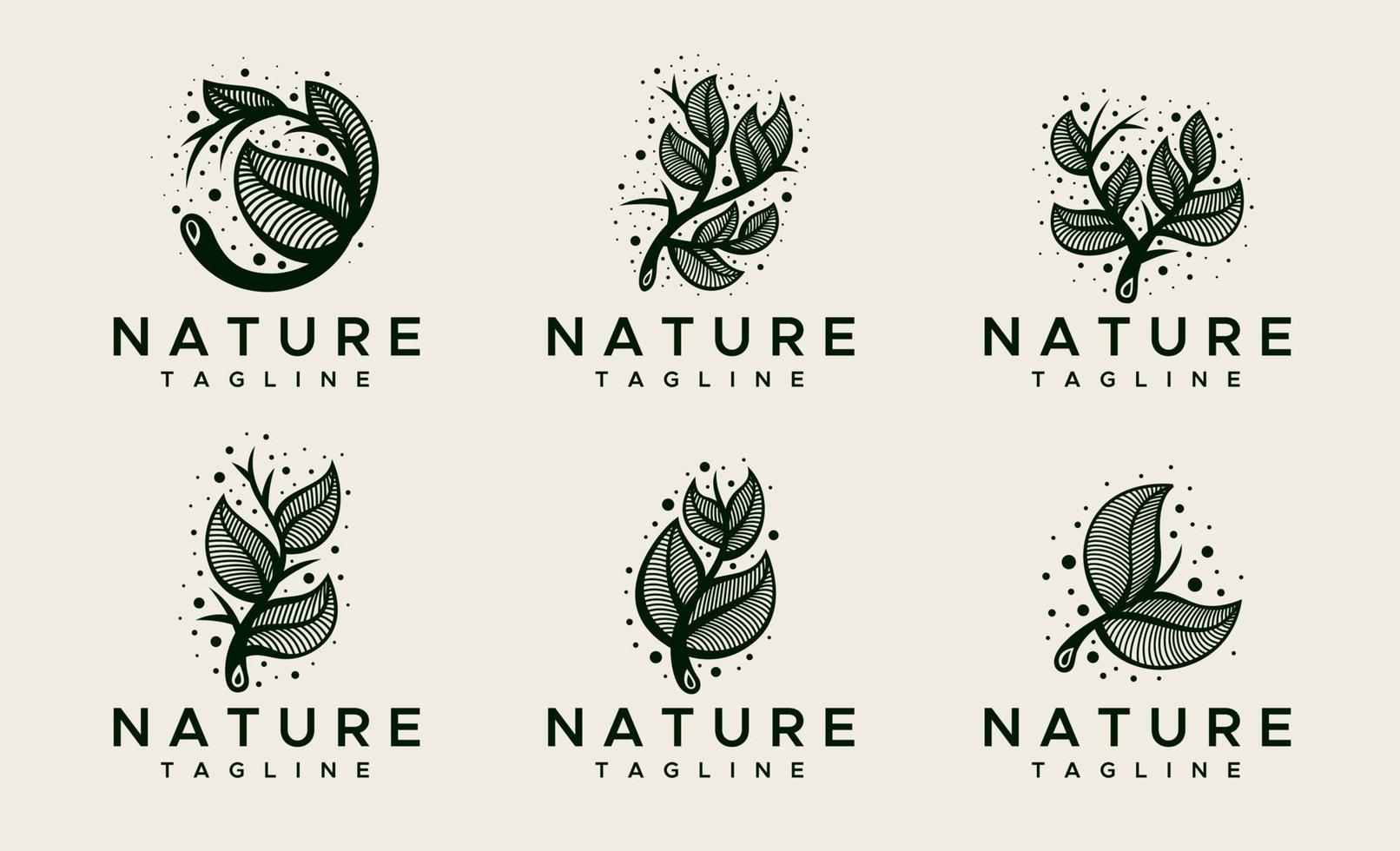 Decorative natural leaf logo design template. Green floral leaves logo vector set.