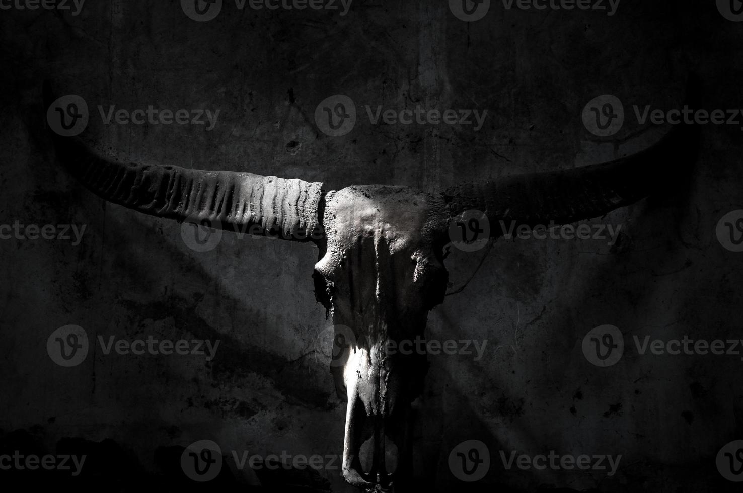 Buffalo skull with mystic symbol on dark Black and White background photo