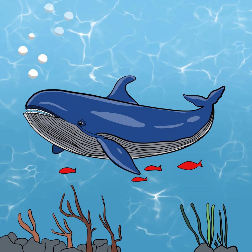 el azul ballena vector