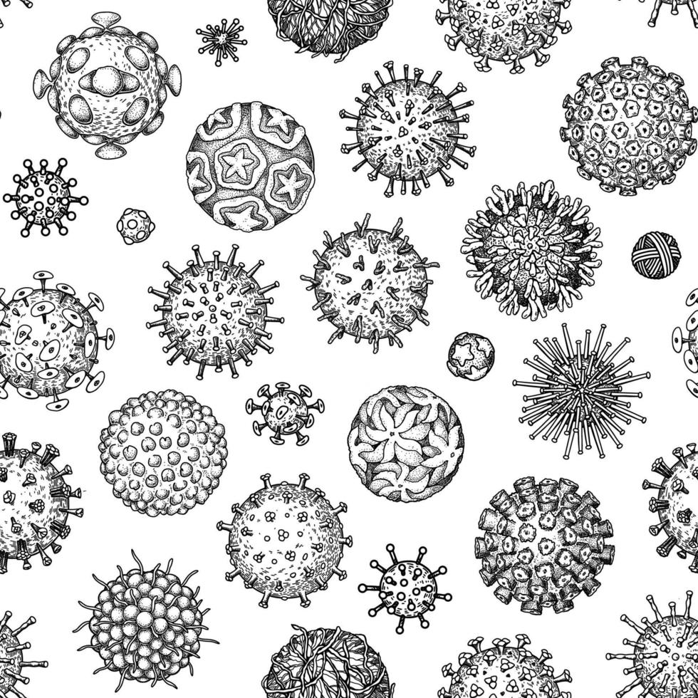 virus sin costura zueco. científico mano dibujado vector ilustración en bosquejo estilo. microscópico microorganismos