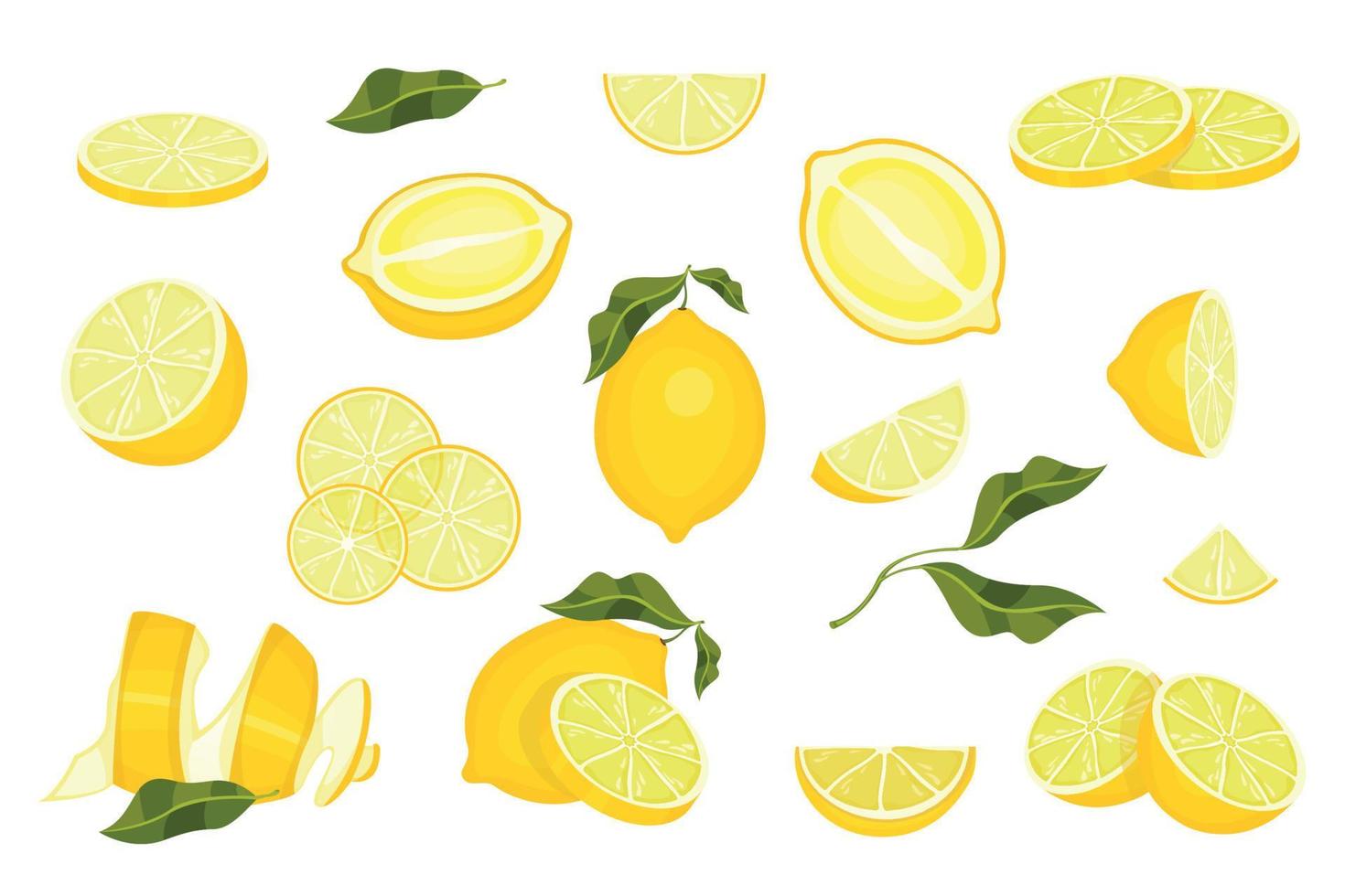 Various lemon flat set. Exotic natural fruits collection. Vector cartoon illustration