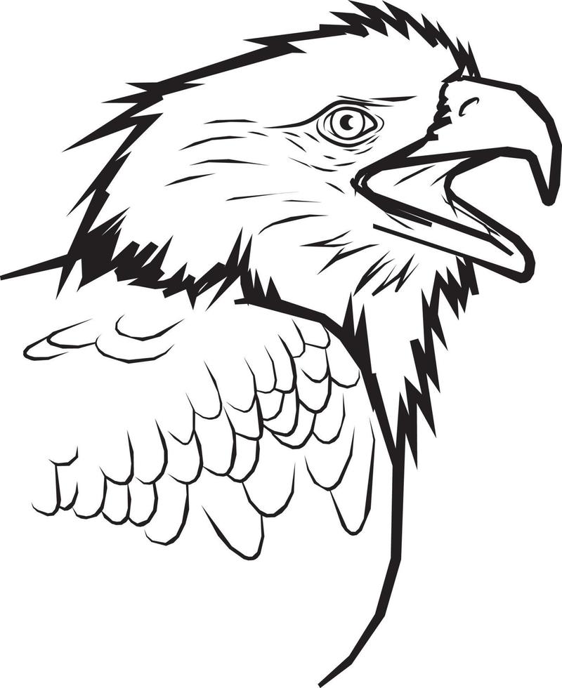 Eagle Head Line Drawing. vector