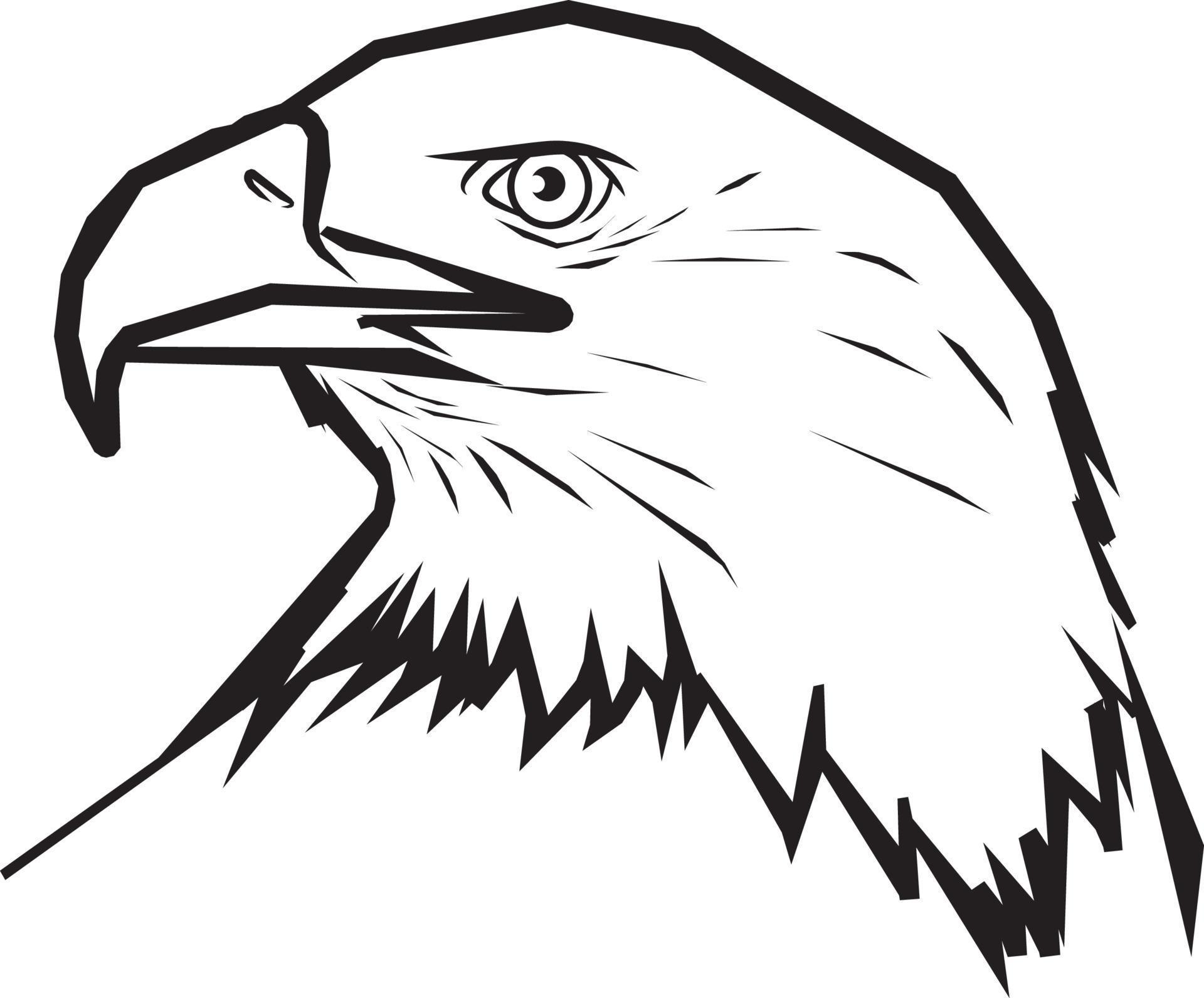 Eagle Head Line Drawing. 20337423 Vector Art at Vecteezy