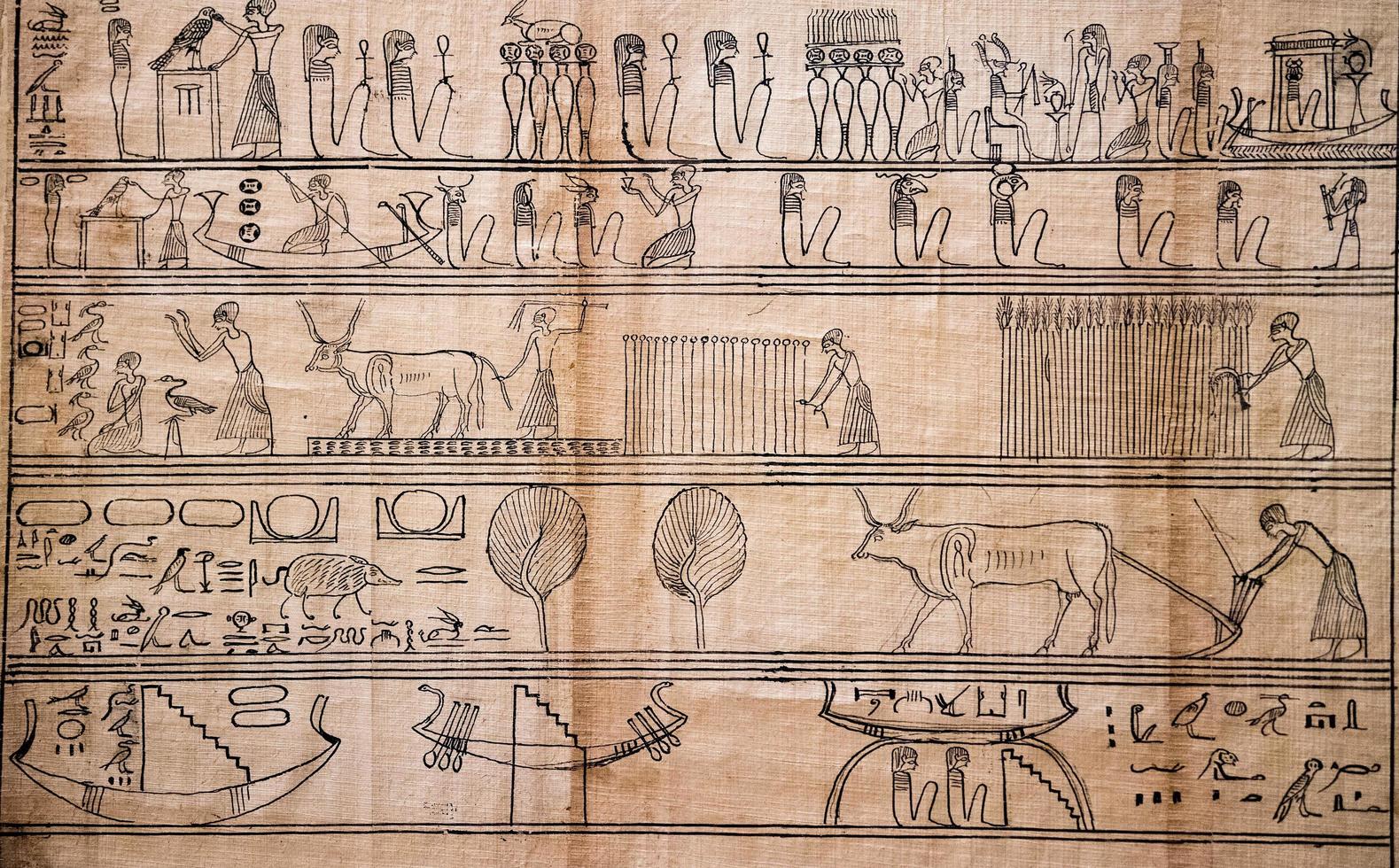 papyrus of old ancient egyptian book of dead free photo