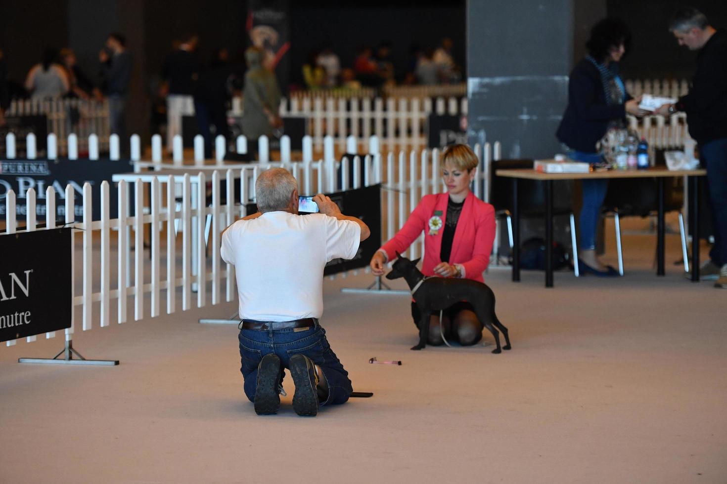 Génova, Italia - mayo 21 2016 - anual público internacional perro espectáculo foto