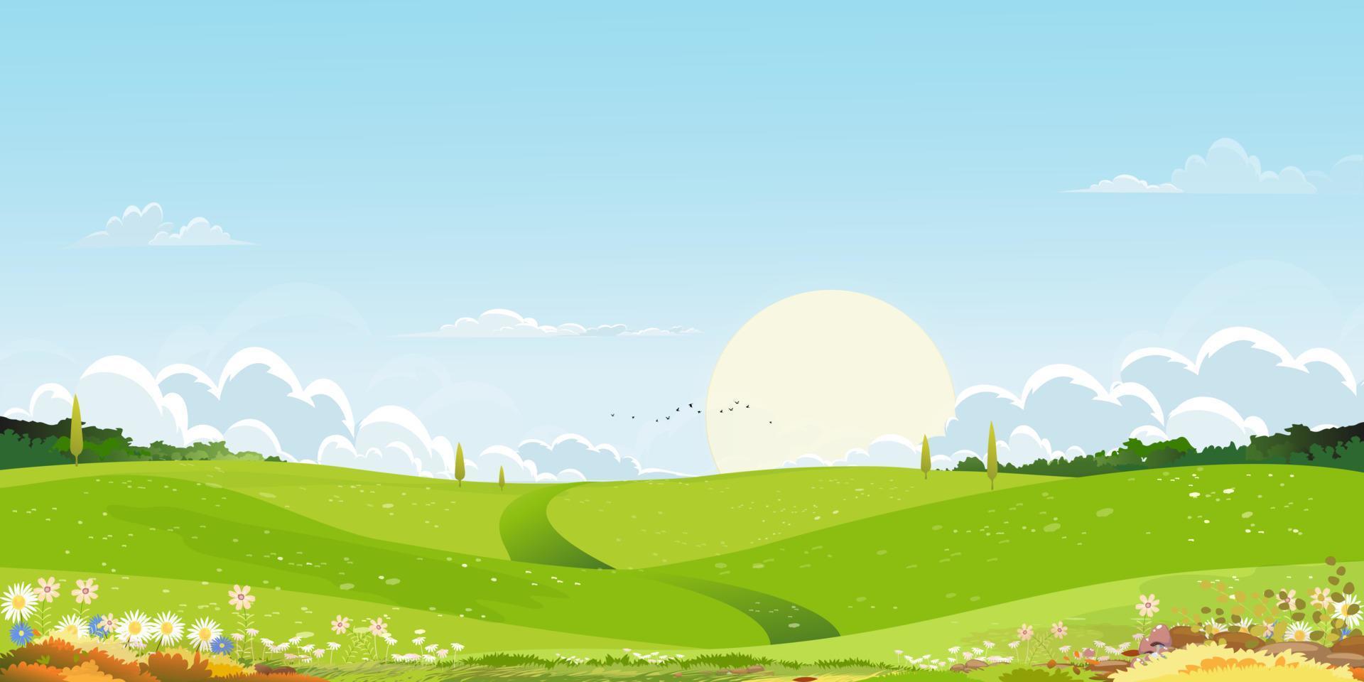 Spring green fields landscape with mountain,blue sky and clouds background,Panorama peaceful rural natural in springtime with green grass land. Cartoon vector illustration for spring and summer banner