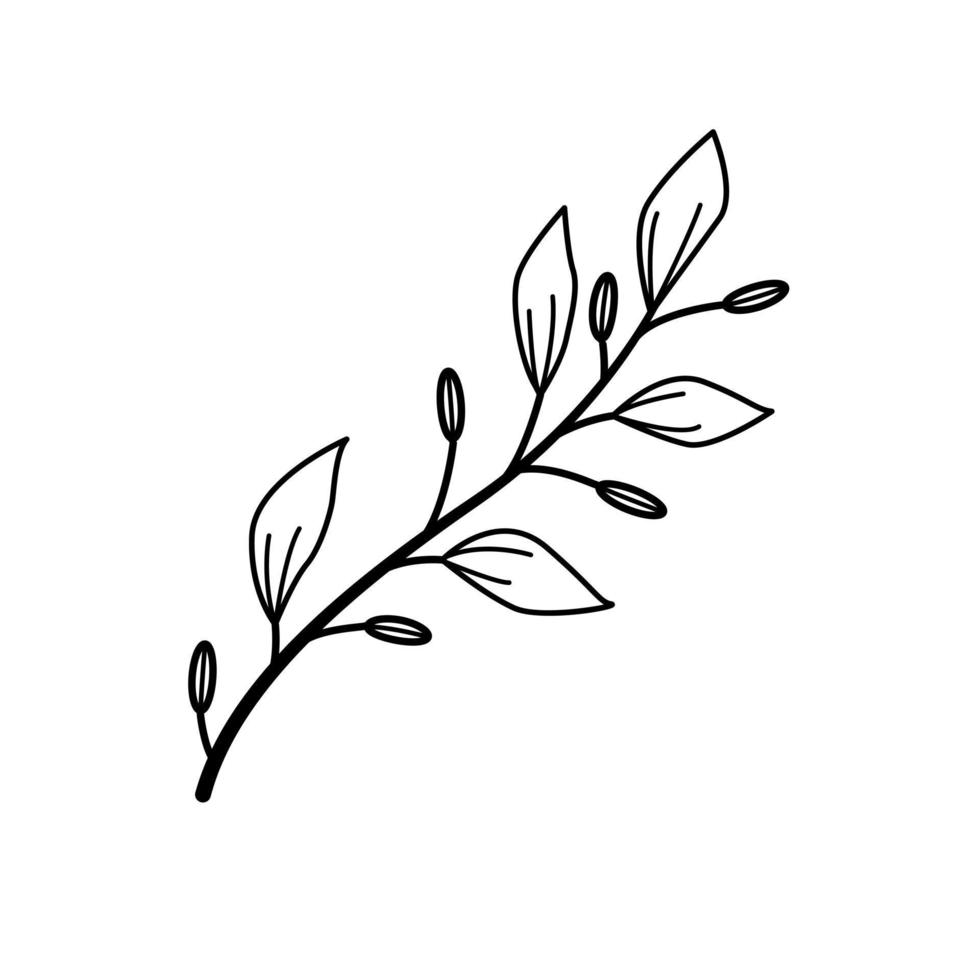 Hand drawn sketch flower isolated on white background. Simple doodle style. vector