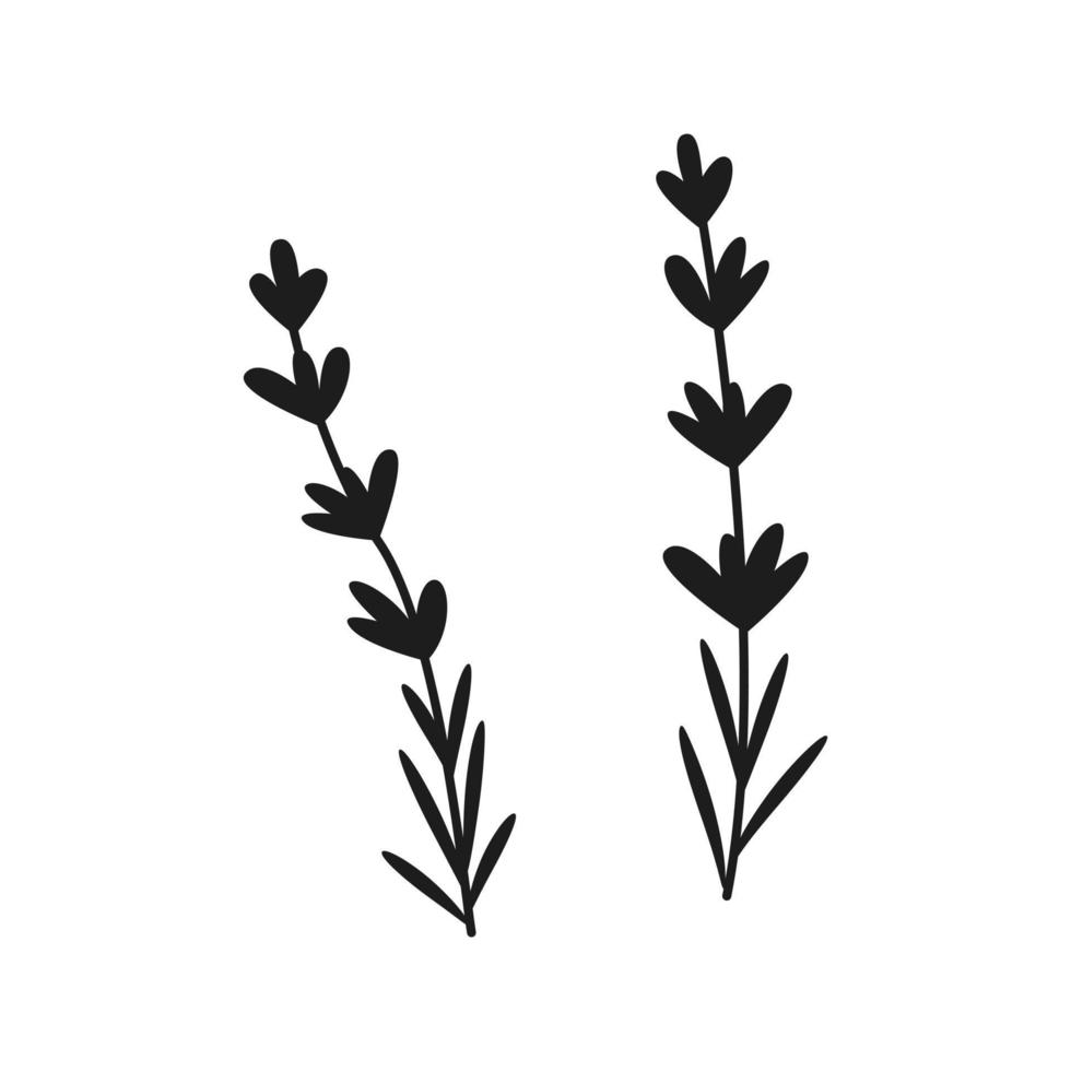 Hand drawn lavender flowers. vector