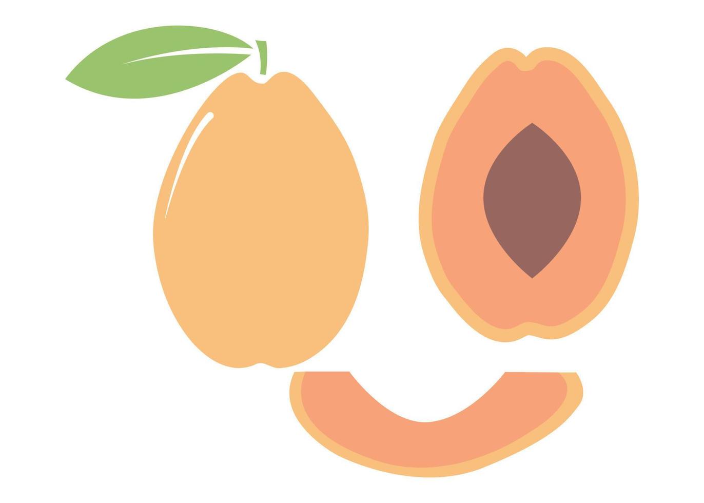 hand drawn apricot ripe fruit in pieces. minimalist illustration vector