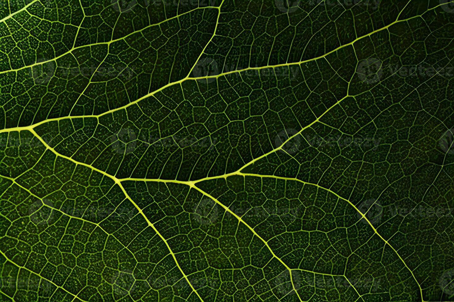 Macro photo green texture leaves background and design material.
