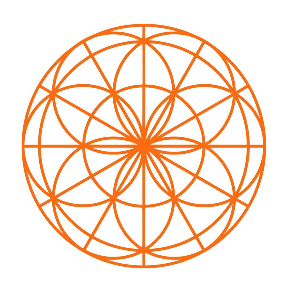 Abstract geometric pattern of round shape vector
