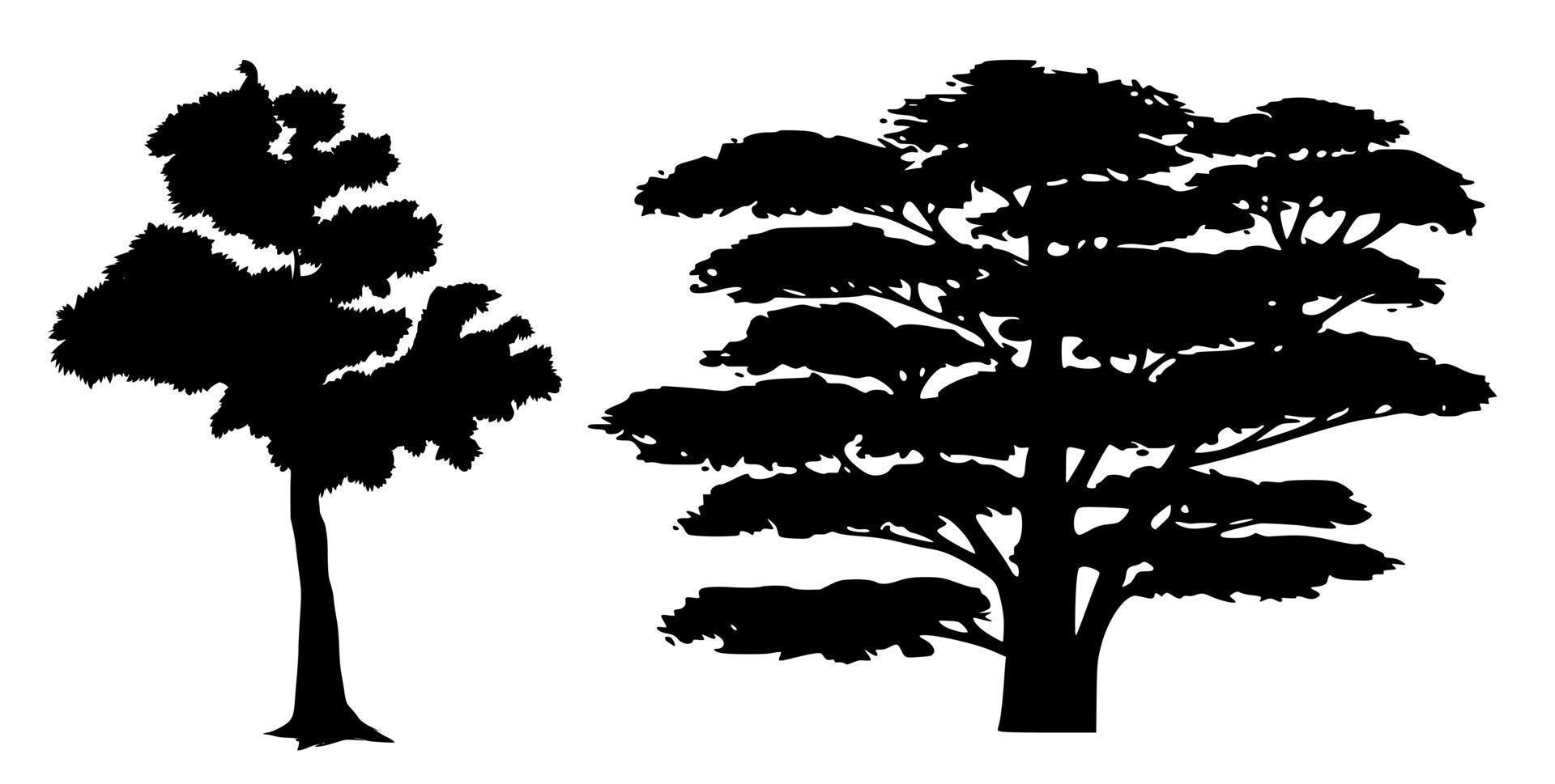 Silhouettes of two deciduous trees vector