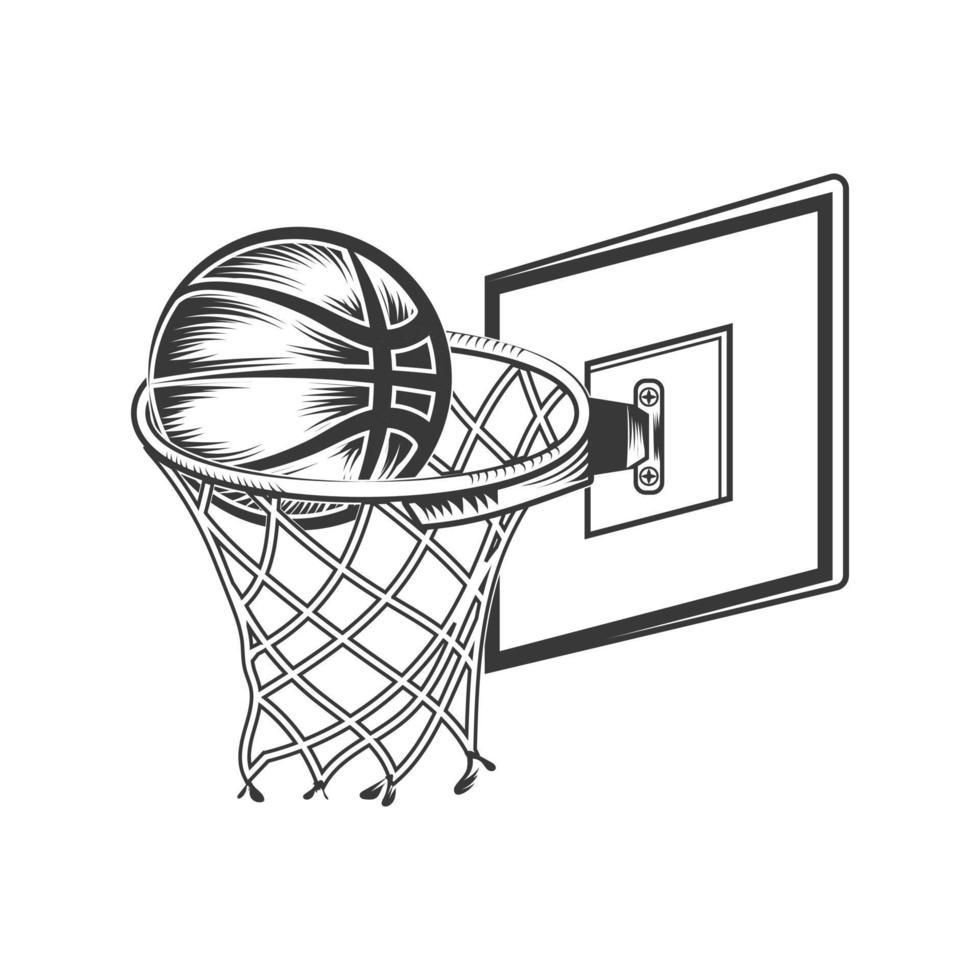 Basketball hoop net and in a ball vector design.