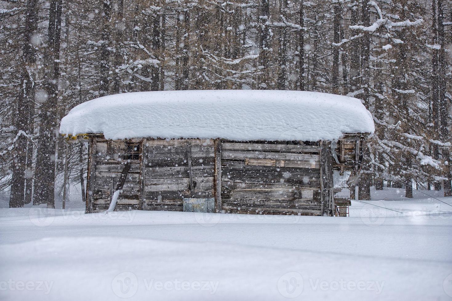 cabaña de montaña bajo la nieve foto