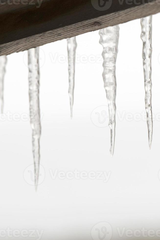 icicles detail in snow winter time photo