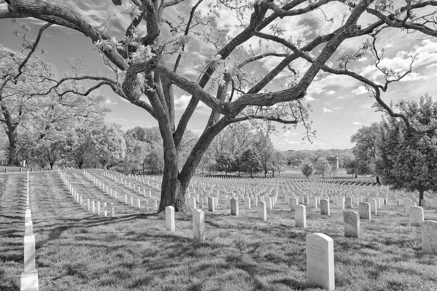 arlington cemetery graveyard in black and white photo