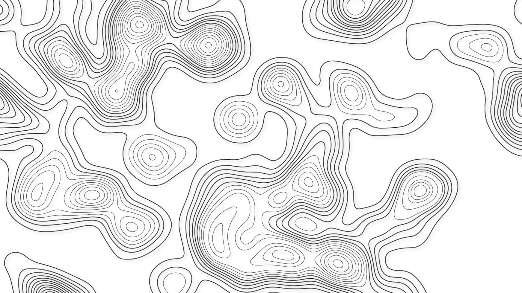 White wave paper curved reliefs abstract background, Abstract topographic contours map background. Geographic mountain relief. Abstract lines background. Contour maps. Business concept. photo