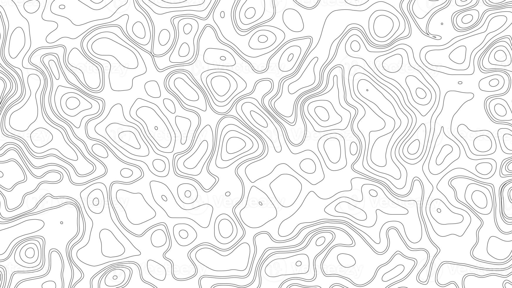 Abstract blank detailed topographic contour map subtle white background. Geographic topographic map grid. Line map with elevation. Topographic cartography. Topographic map. Topographic Relief. photo