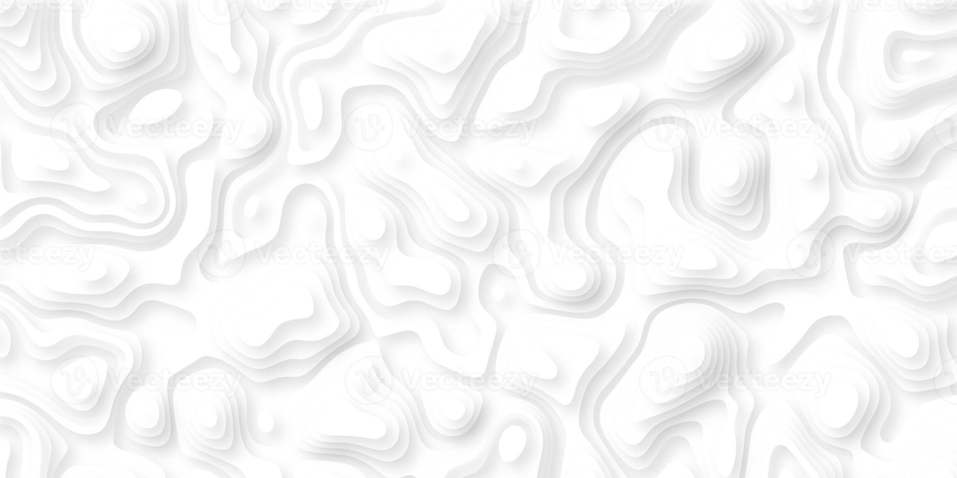 Abstract paper cut style design. Geometric layered curve line grey, white vector, realistic papercut decoration textured with wavy layers. Topography relief. photo