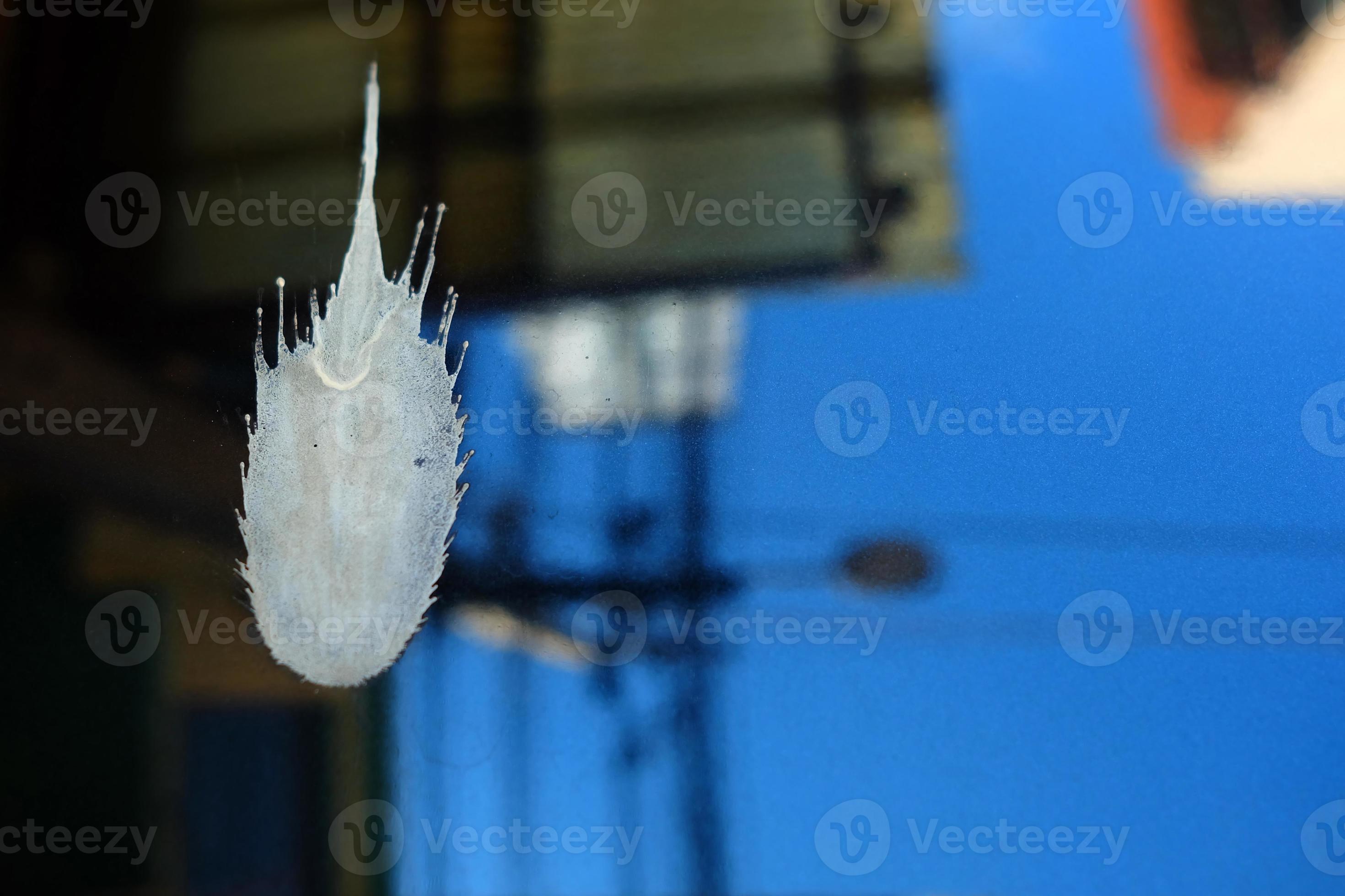 Close up Stain of Cement Water Spot on Car Paint, Suitable for Car Care