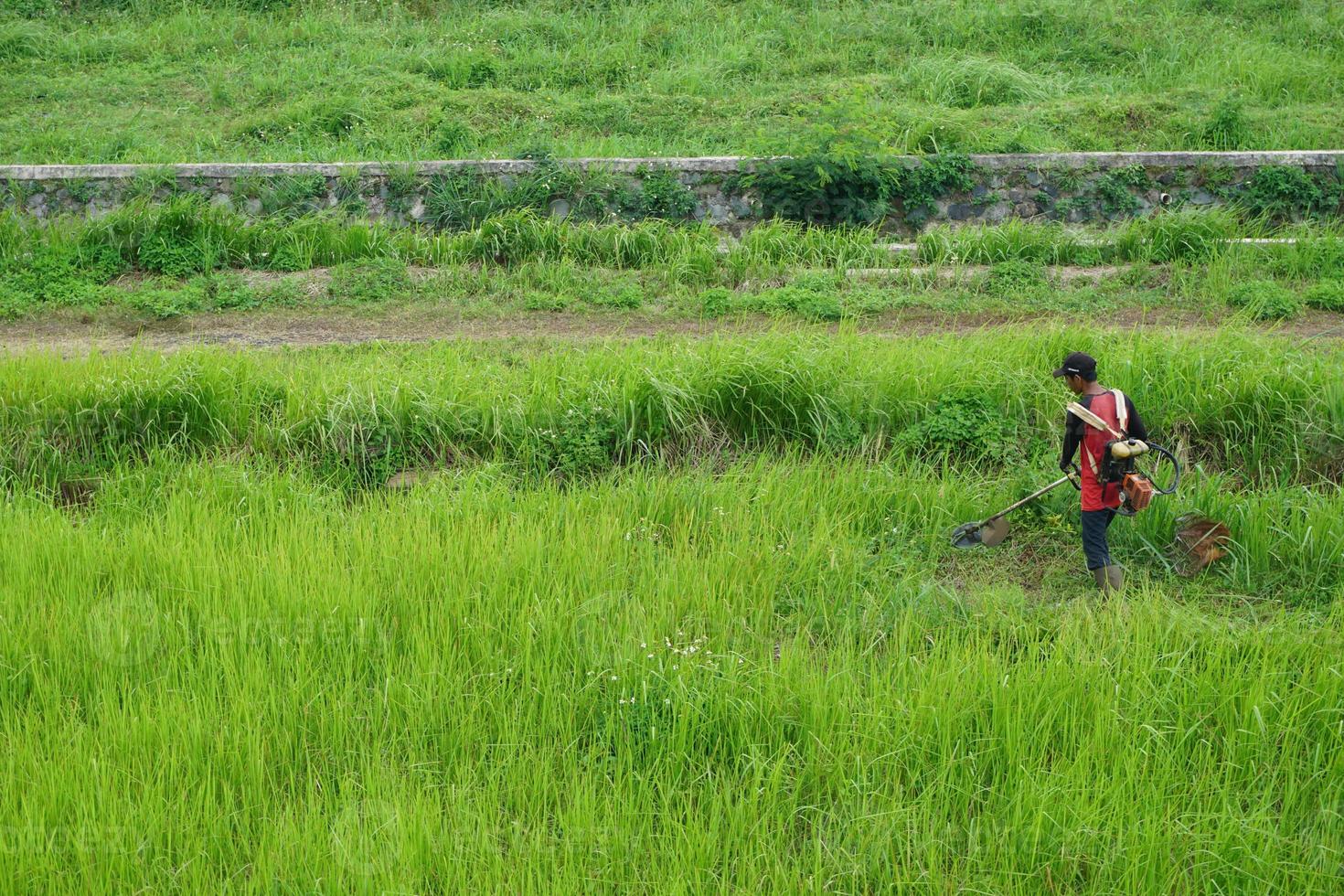 Top view of a man in a robe mowing the grass with a trimmer photo