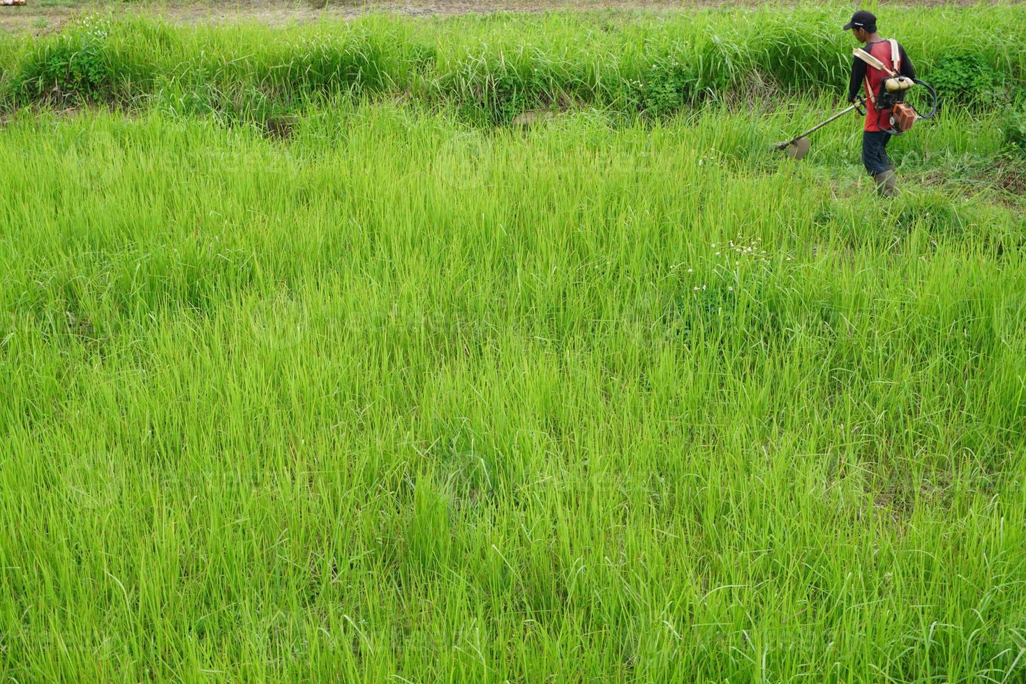 Top view of a man in a robe mowing the grass with a trimmer photo