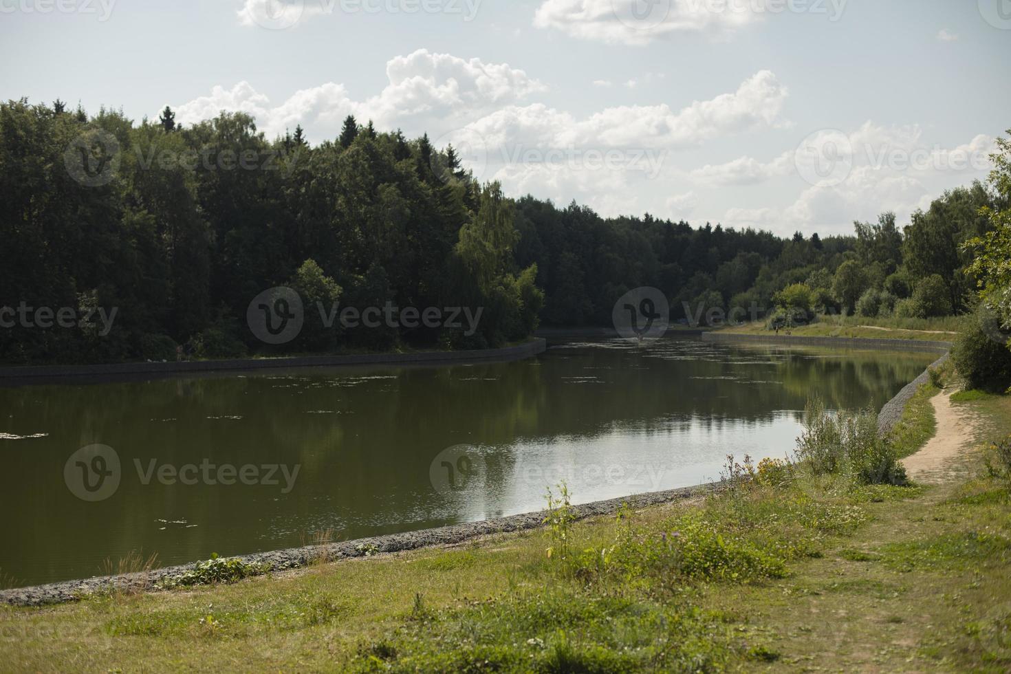 Lake in park. Pond in city. Reservoir in summer. photo